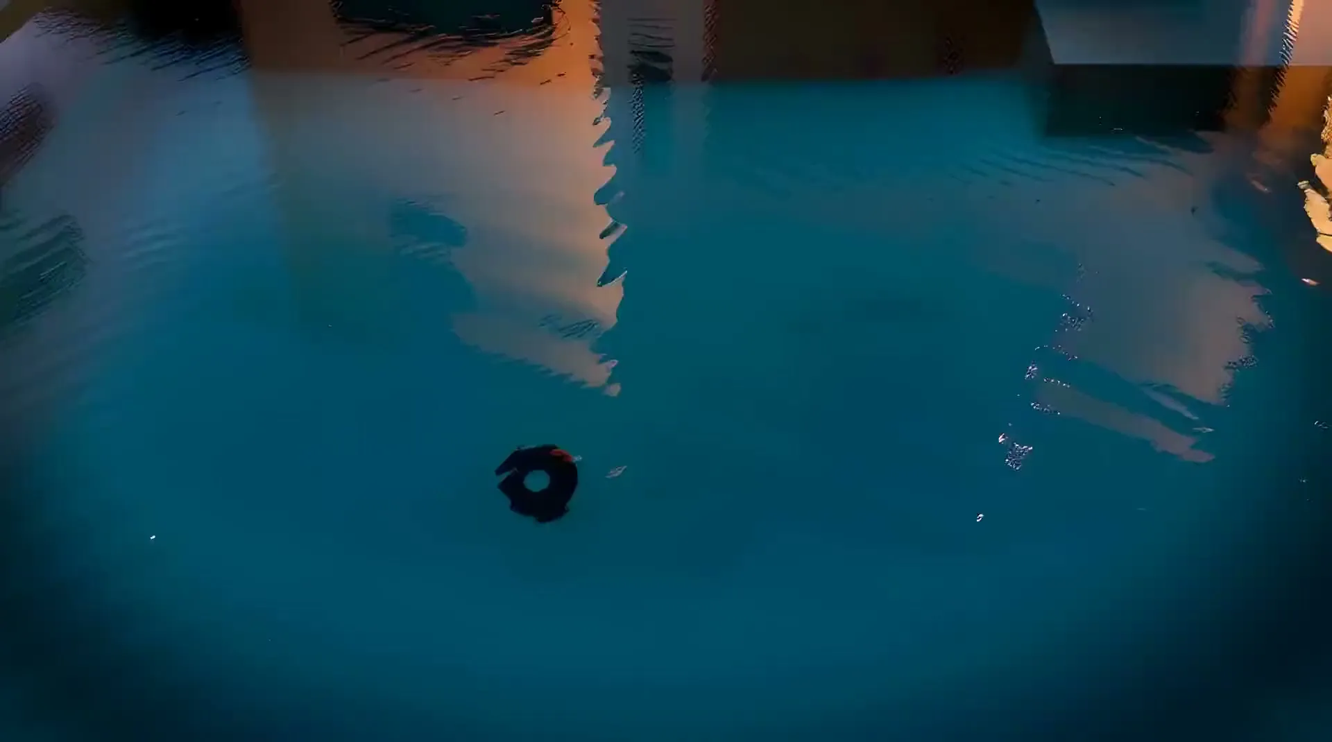 Swimming pool photography, Naples, Florida